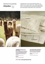 Grüne Erde Flugblatt Seite 92