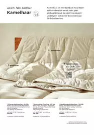 Grüne Erde Flugblatt Seite 94