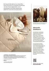 Grüne Erde Flugblatt Seite 95