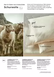 Grüne Erde Flugblatt Seite 96