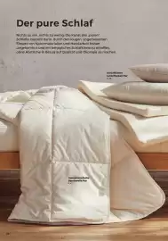 Grüne Erde Flugblatt Seite 26