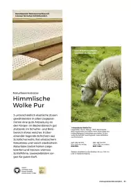 Grüne Erde Flugblatt Seite 31