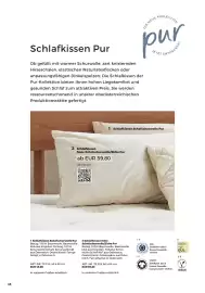 Grüne Erde Flugblatt Seite 38