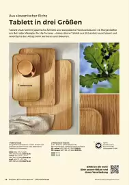 Grüne Erde Flugblatt Seite 12