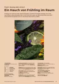 Grüne Erde Flugblatt Seite 21