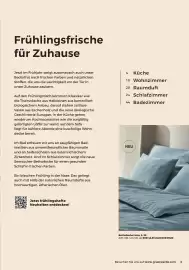 Grüne Erde Flugblatt Seite 3