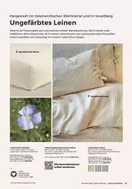 Grüne Erde Flugblatt Seite 37