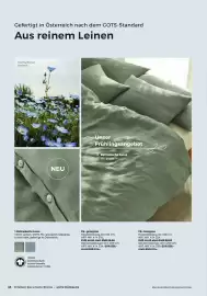 Grüne Erde Flugblatt Seite 38