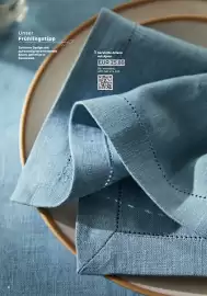 Grüne Erde Flugblatt Seite 6