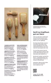 Grüne Erde Flugblatt Seite 13