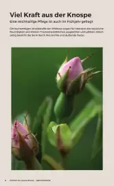 Grüne Erde Flugblatt Seite 2