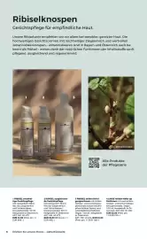 Grüne Erde Flugblatt Seite 6