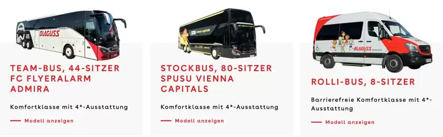 Blaguss Flugblatt Seite 5