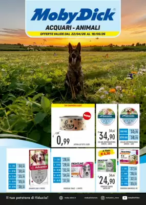 Moby Dick (valido fino al 18-05)