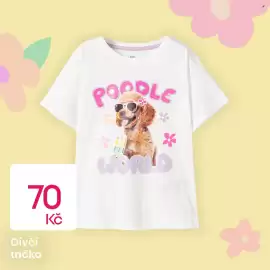 Pepco leták Strana 3