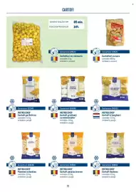 Catalog Metro Pagină 72