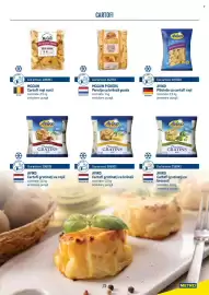 Catalog Metro Pagină 73