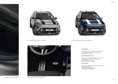 Hyundai Flugblatt | Kona Seite 13