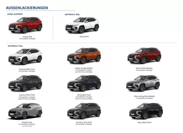 Hyundai Flugblatt | Tucson Seite 7