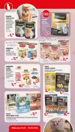 Zookauf Prospekt woche 17 Seite 2