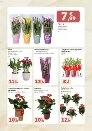 Folleto Alcampo Página 3