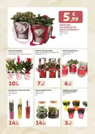 Folleto Alcampo Página 4