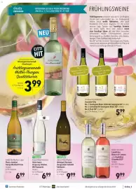 CITTI Markt Prospekt woche 17 Seite 13