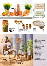 Multi bazar folder Pagina 9