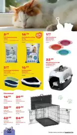 Happyland folder Pagina 42