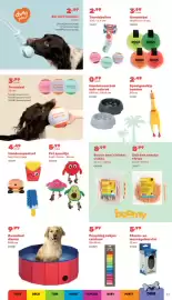 Happyland folder Pagina 43