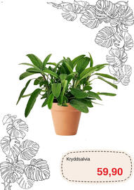 Blomsterlandet reklamblad Sida 10