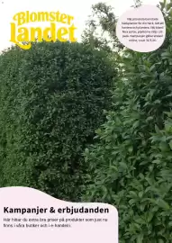 Blomsterlandet reklamblad Sida 1