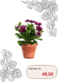 Blomsterlandet reklamblad Sida 7