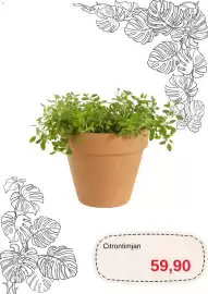 Blomsterlandet reklamblad Sida 9