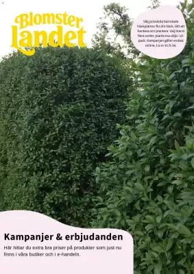 Blomsterlandet (giltig till och med 31-05)