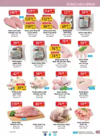 Qanto leták Strana 15