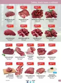 Qanto leták Strana 17