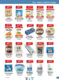 Qanto leták Strana 31