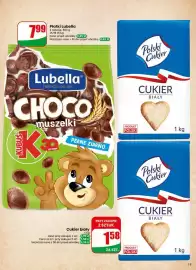 Dino gazetka tydzień 17 Strona 15