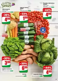 Dino gazetka tydzień 17 Strona 39