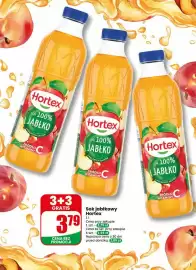 Dino gazetka tydzień 17 Strona 5