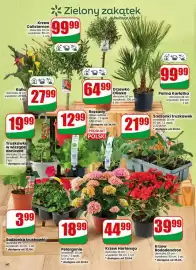 Dino gazetka tydzień 17 Strona 60