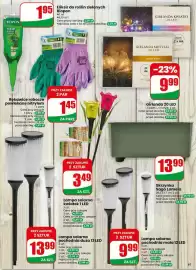 Dino gazetka tydzień 17 Strona 61