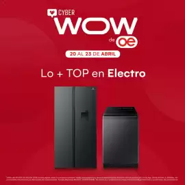 Catálogo Oechsle Página 1