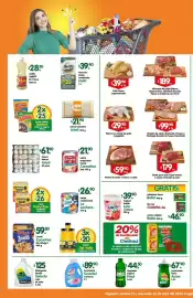 Folleto Arteli Página 1