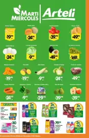 Folleto Arteli Página 2