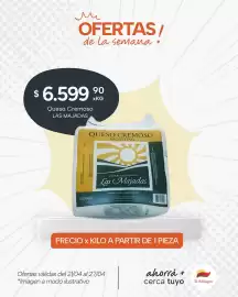 Catálogo El Milagro Mayorista semana 17 Página 2