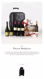 Catálogo Vinoteca Ligier Página 39