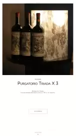 Catálogo Vinoteca Ligier Página 89