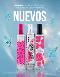 Catálogo Perfumes Europeos Página 2